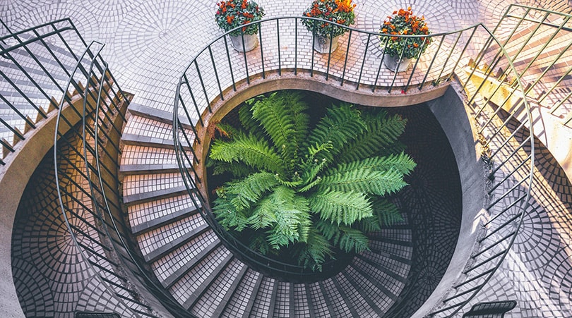 Interior Consultation